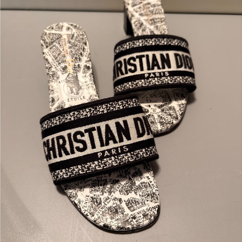 Christian Dior “Dioract / Dway-style” Map Print Mule Heels